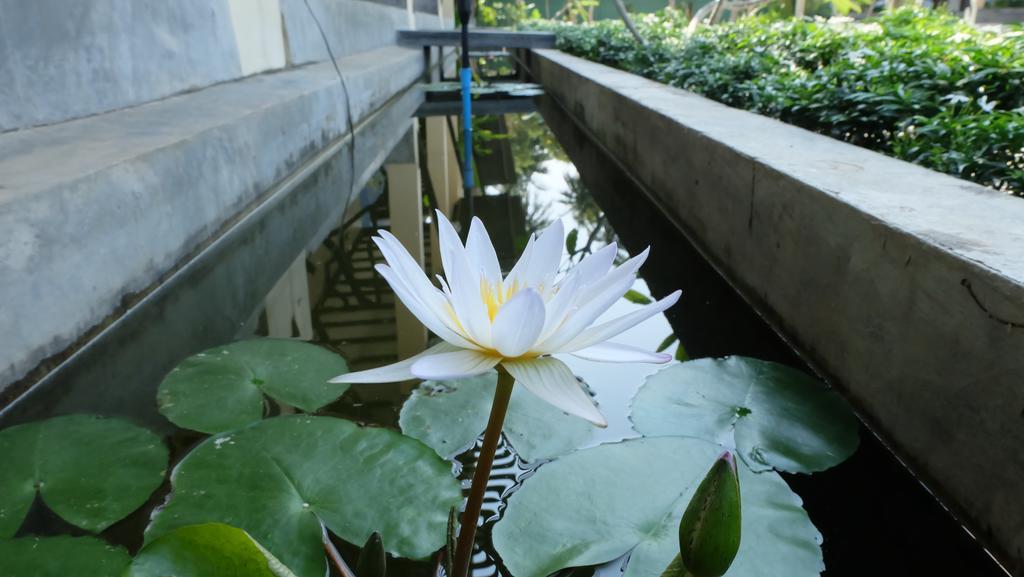 Lullaby Boutique Resort Thap Sakae Bagian luar foto